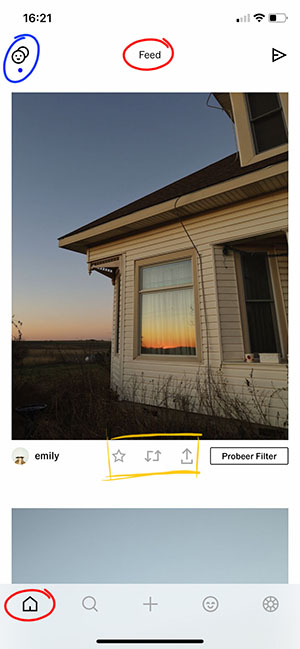 VSCO app feed en mensen volgen