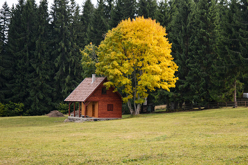 Huis in het bos tijdens herfst