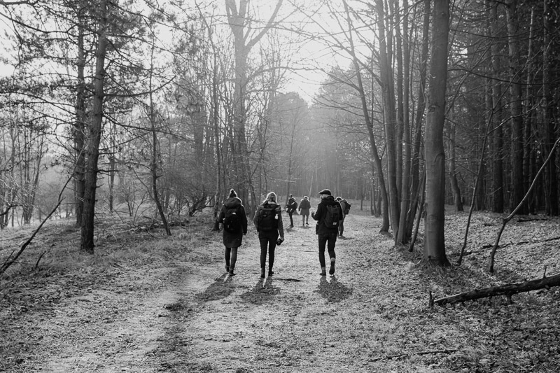 Fotowandeling in de Amsterdamse Waterleidingduinen