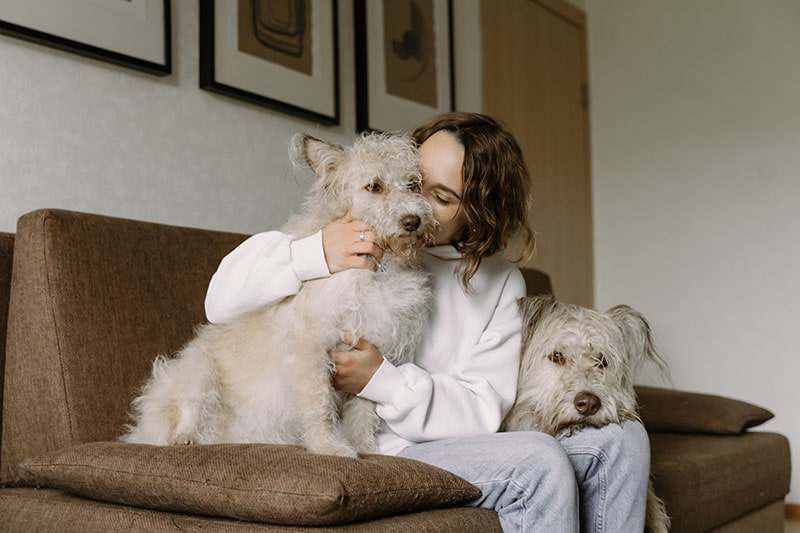 Fotograferen van huisdieren