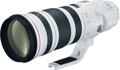 Canon EF 200-400mm f 4L IS USM Extender 1.4x