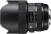 Sigma 14-24mm F2.8 DG HSM Art