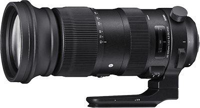 Sigma 60-600mm F4.5-6.3 DG OS HSM S