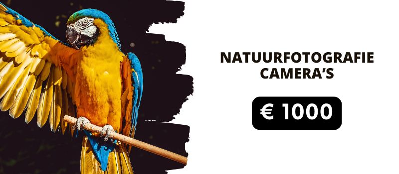 Natuurfotografie camera's tot 1000 euro Natuurfotografie camera's tot 1000 euro
