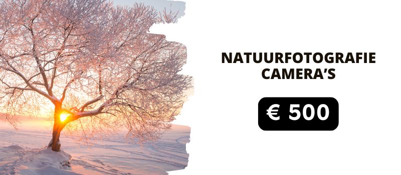 Natuurfotografie camera's tot 500 euro Natuurfotografie camera's tot 500 euro