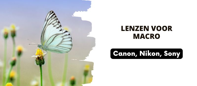 Lenzen voor macro Lenzen voor macro