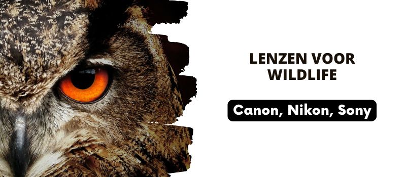 Lenzen voor wildlife Lenzen voor wildlife
