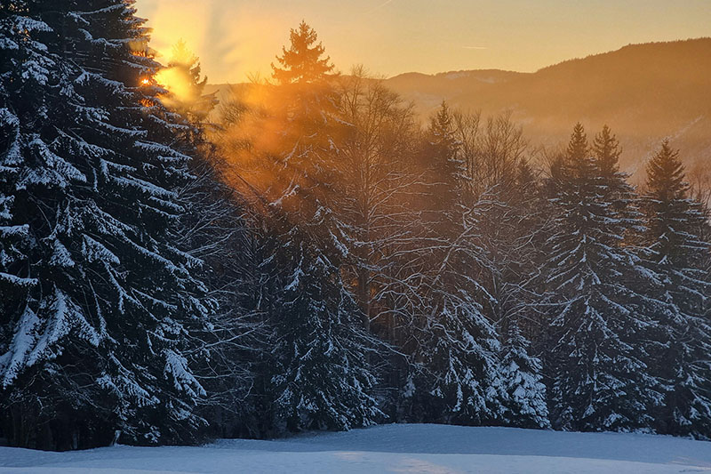 Fotowedstrijd winterlicht