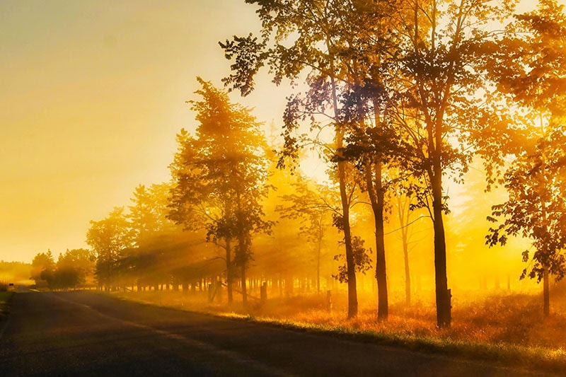 Fotografie oefening ochtendlicht